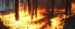 Fires Ravage Mediterranean